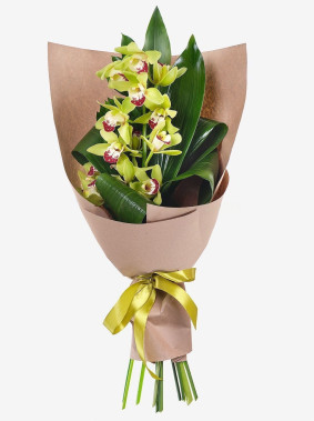 Viehättävä Orkidea Image