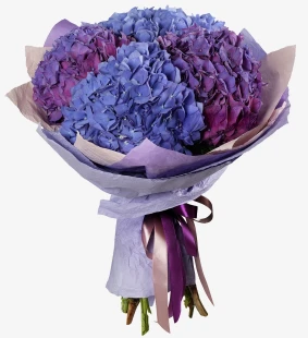 Hydrangea Bouquet