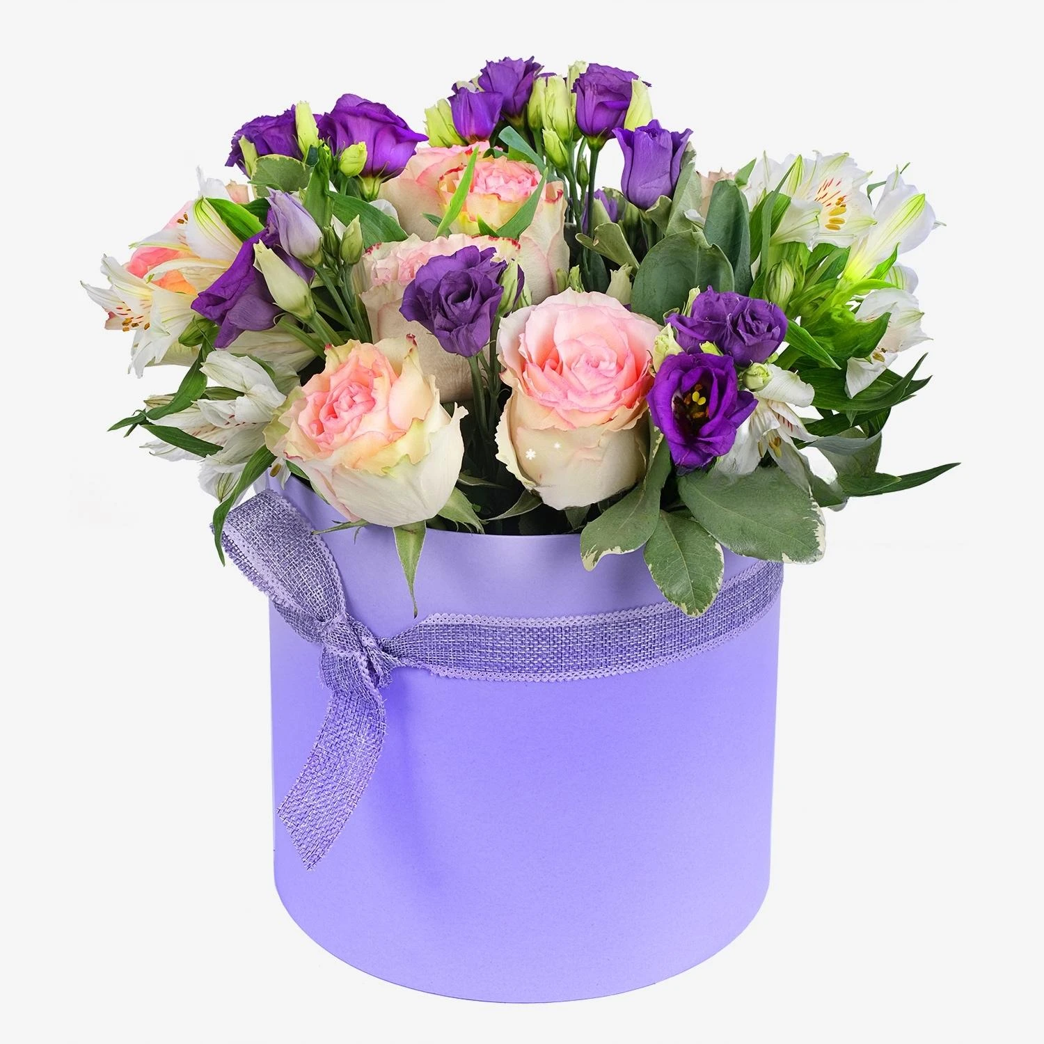 Purppura Laatikko