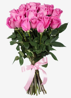 Pink Roses Image